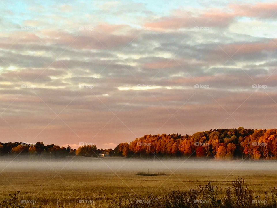 View of landscape in autumn