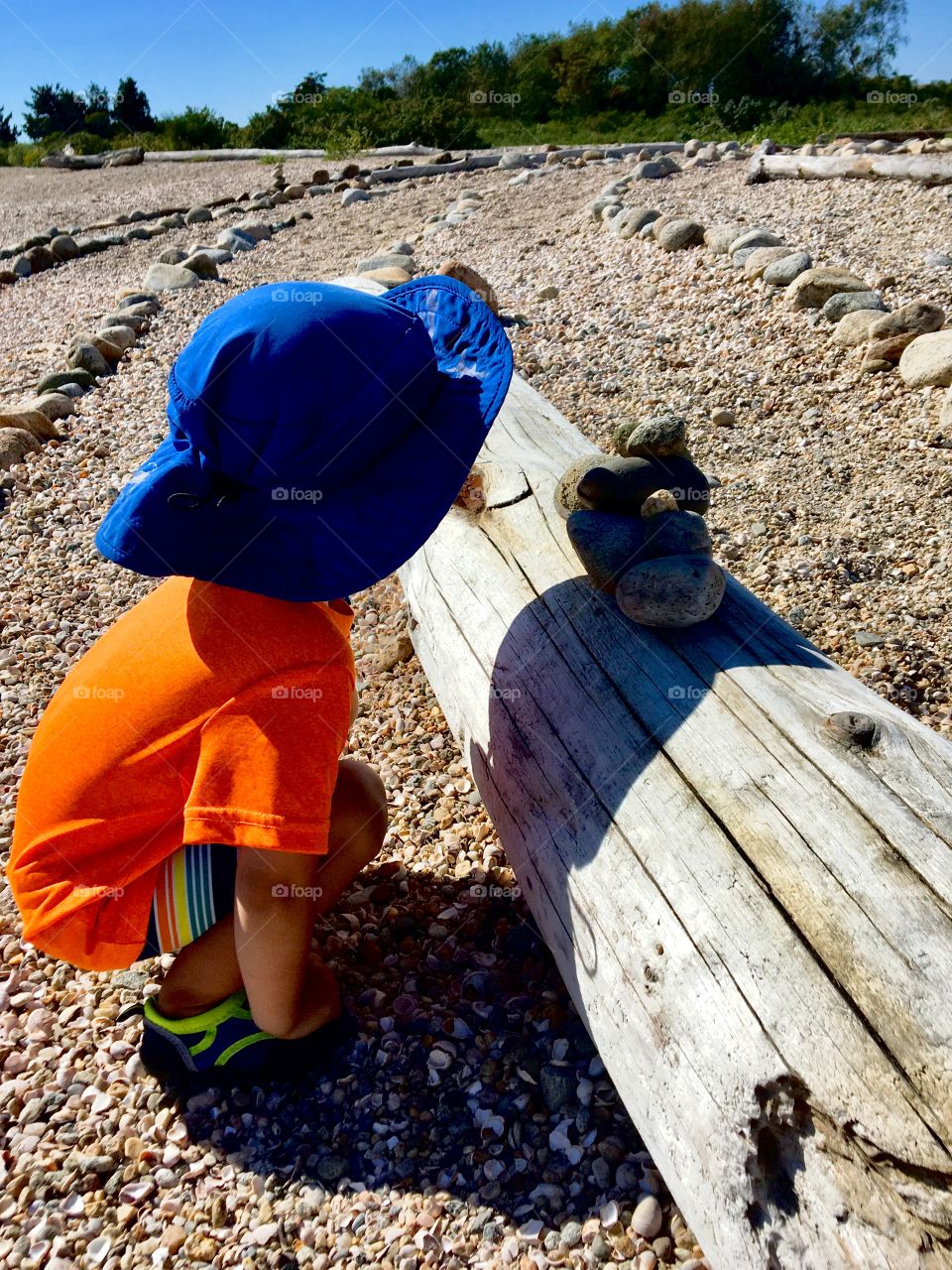 Curious Don at the beach