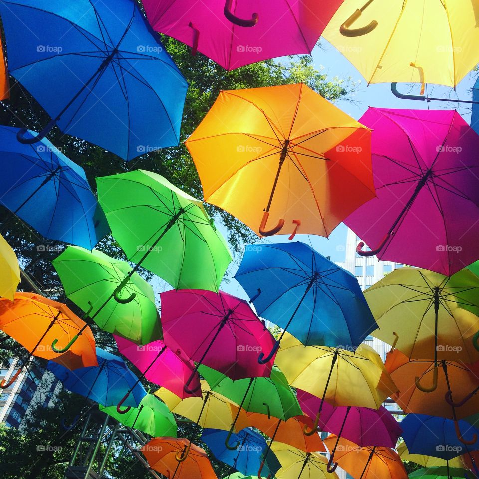 Rainbow umbrellas dancing in the sun.