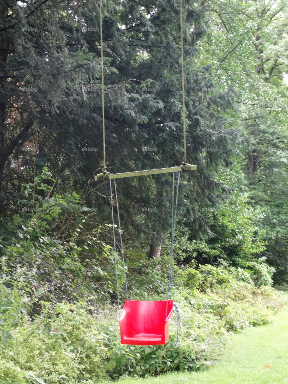 Swing in the backyard 