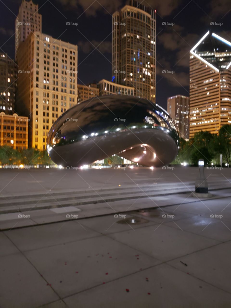 The Big Bean in Chicago