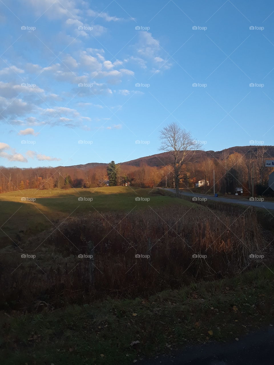 ...worth a thousand words