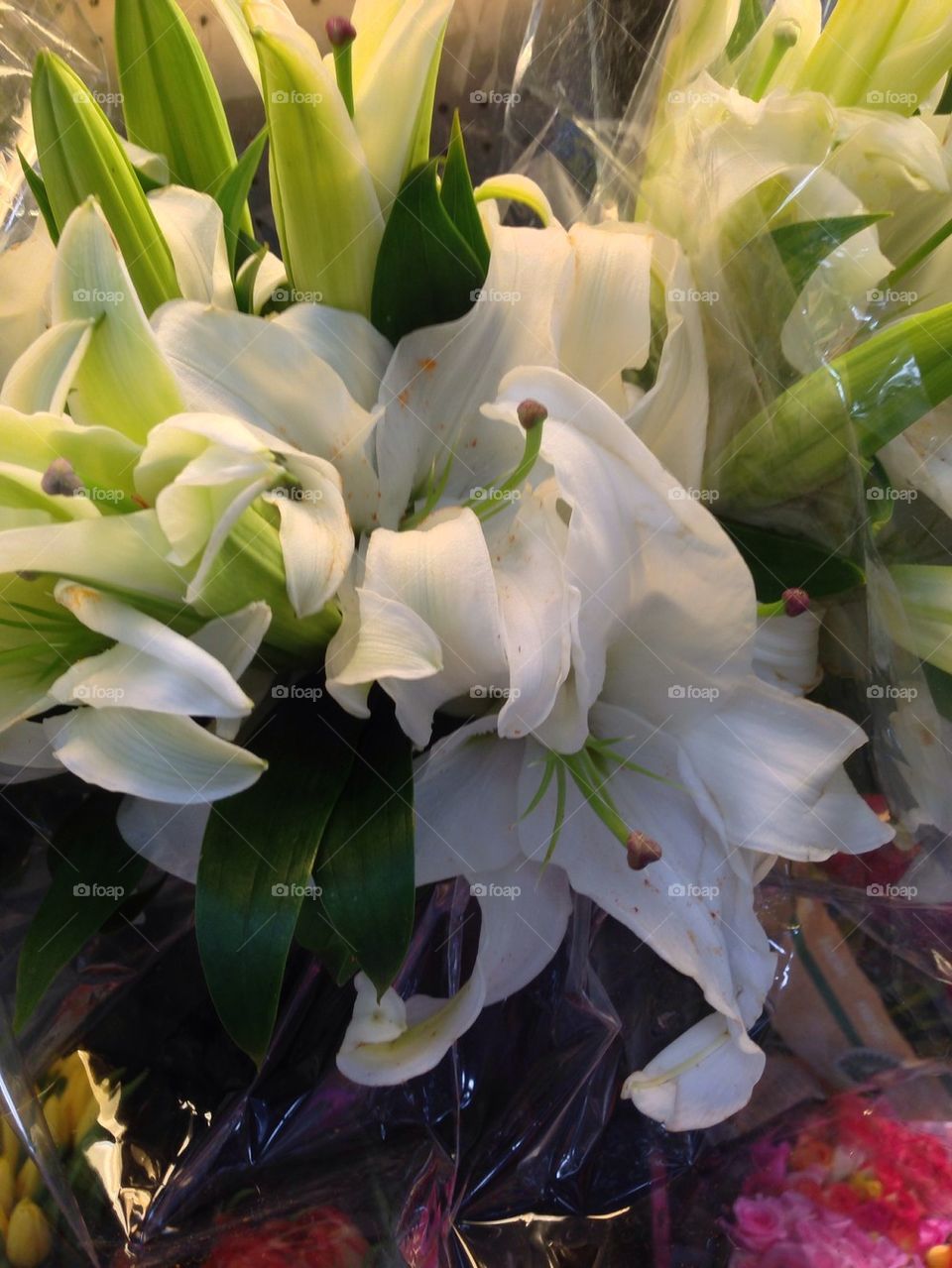 White Lilies