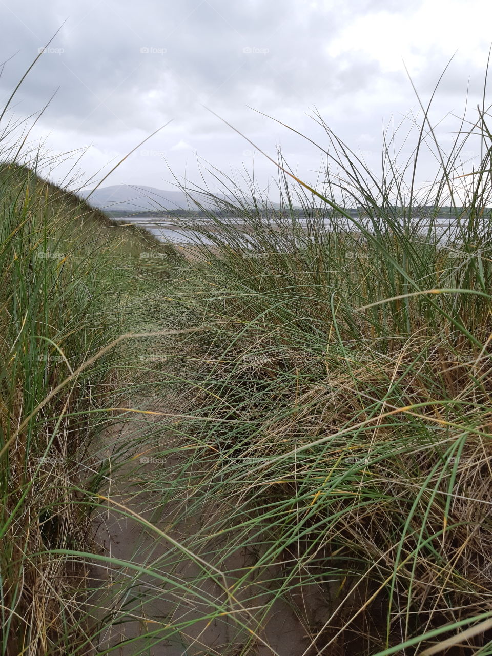 Sandy Dunes with a Seaview