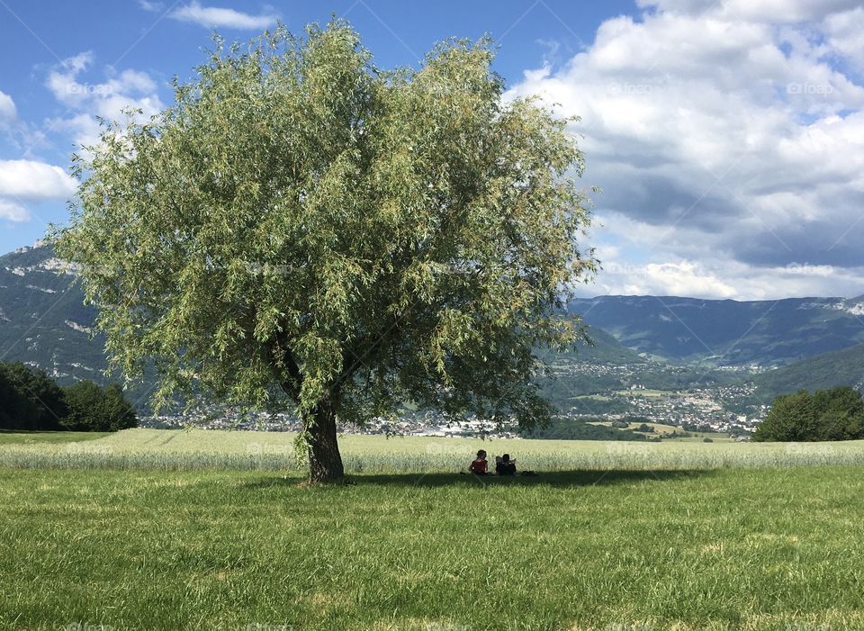 Rural landscape with a couple in the shade of a tree