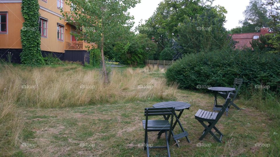 No Person, Wood, Seat, Bench, Grass