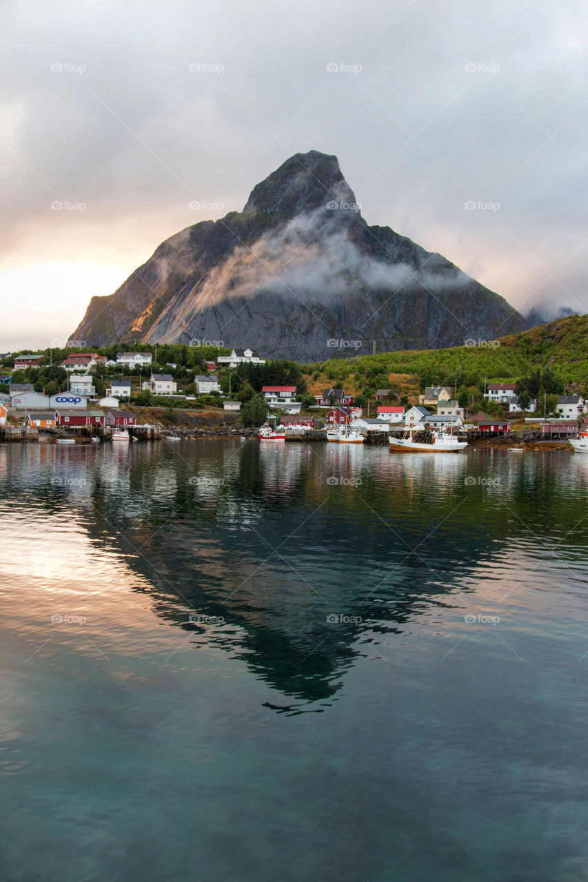 Reine