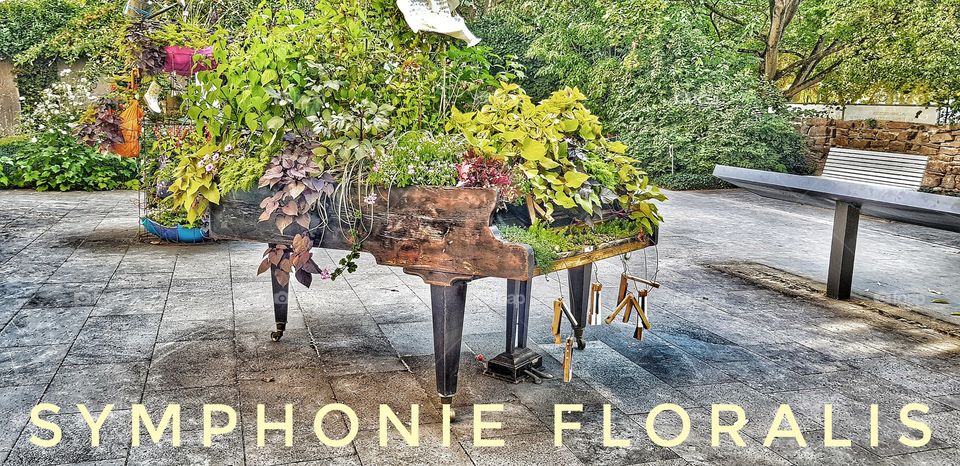 Basilika St Castor Koblenz Germany