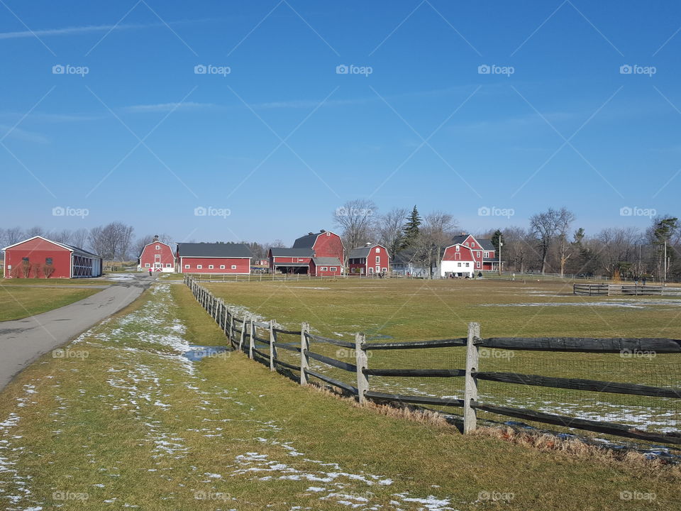 Farm houses in field
