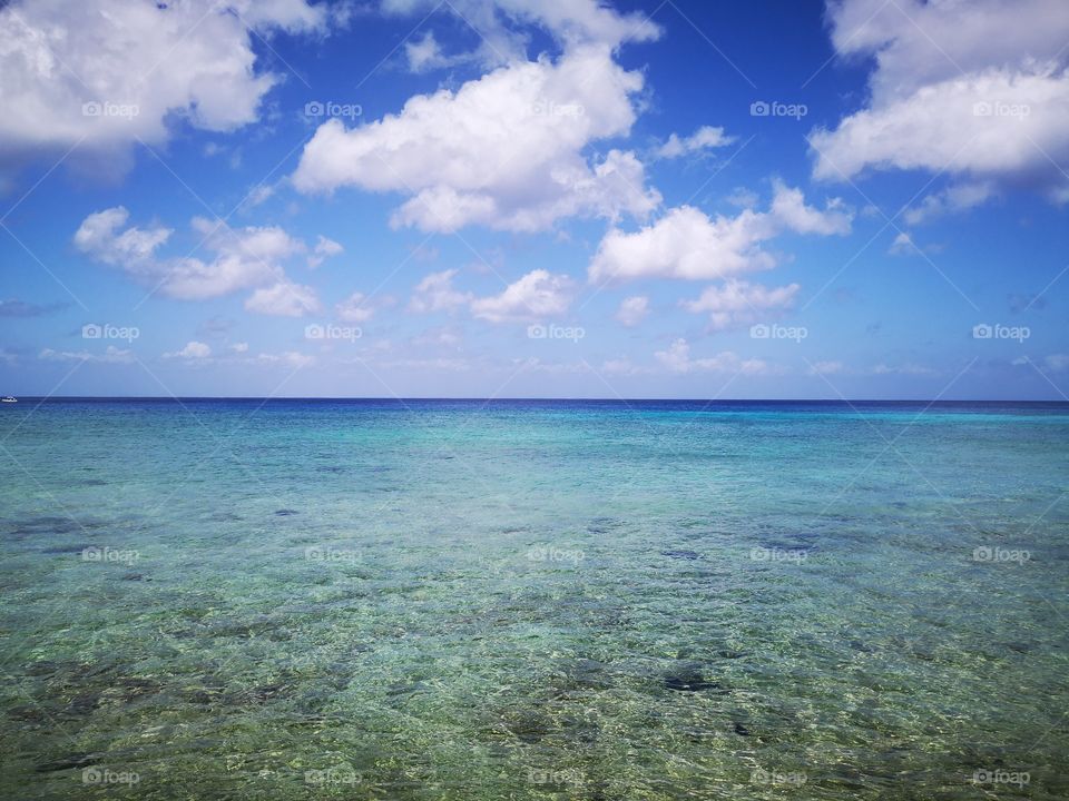 El turquesa más bello del Caribe, está en la hermosa isla de Cozumel, paradisíacas y codiciadas playas con aguas tranquilas y que nos regalan una vista divina, ¿cuántos azules puedes distinguir?