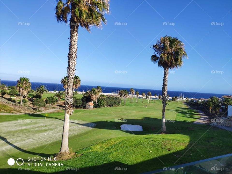 Golf course in Tenerife
