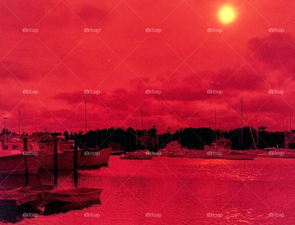 Bayside in Red