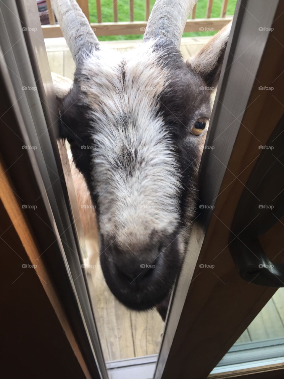 Can I come in?