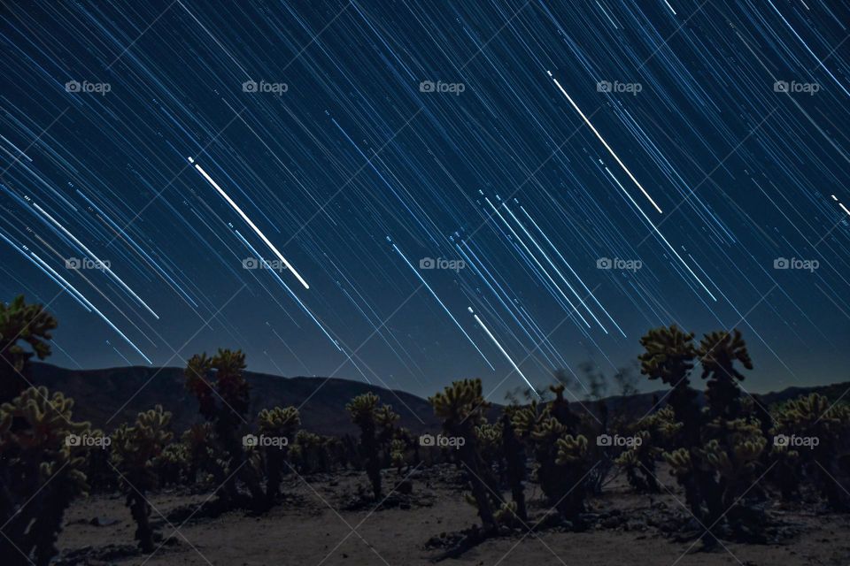 Star Trails in the Desert