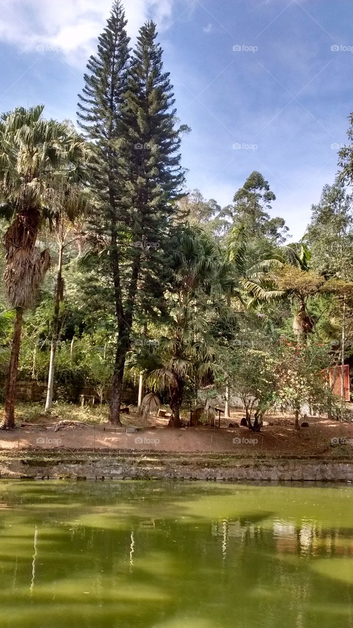 Momento Relax.
No meio do #mato, de frente para o #lago.
🌿
#natureza #paisagem #fotografia #descanso