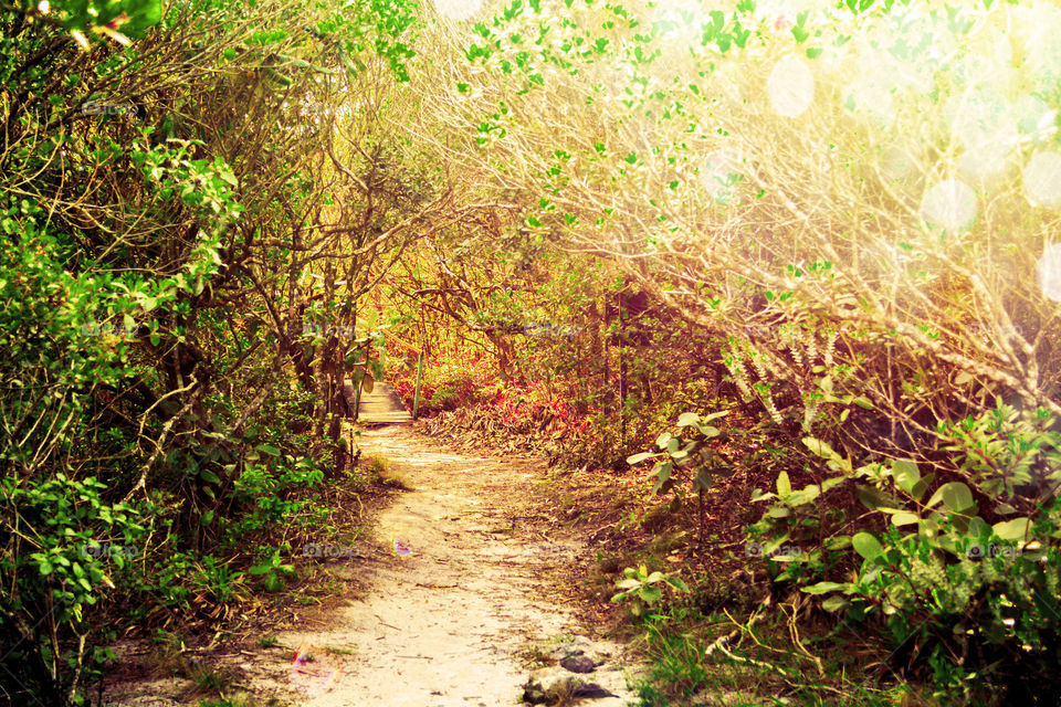 Hi foapers!  one more ! Forest  have a great weekend.