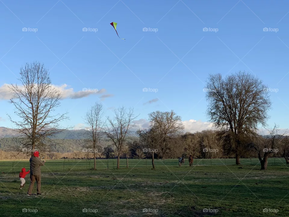 Kite