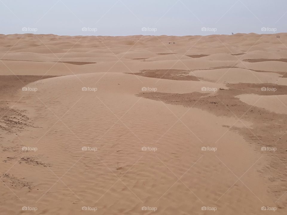 Dunes in Tunisia
