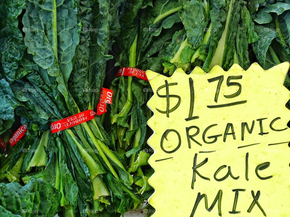 Organic Kale. Fresh Organic Kale At A Farmer's Market
