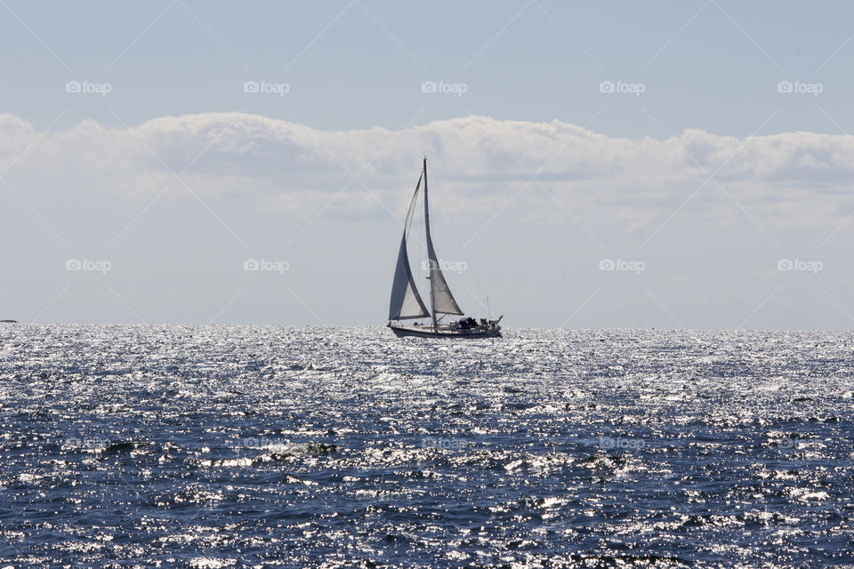 Sailing on the sea a sunny windy day .
Segling på havet en solig blåsig dag . 