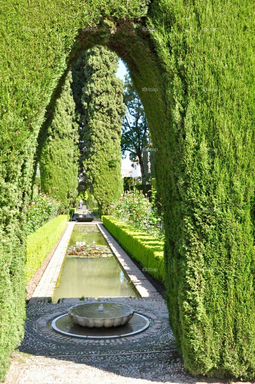 Alhambra gardens 