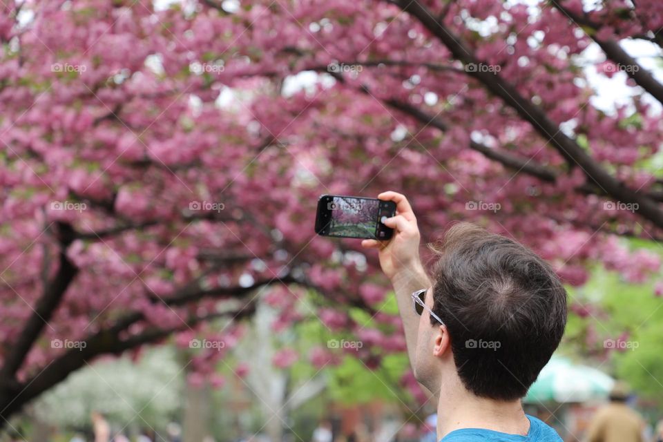 Capturing springtime 