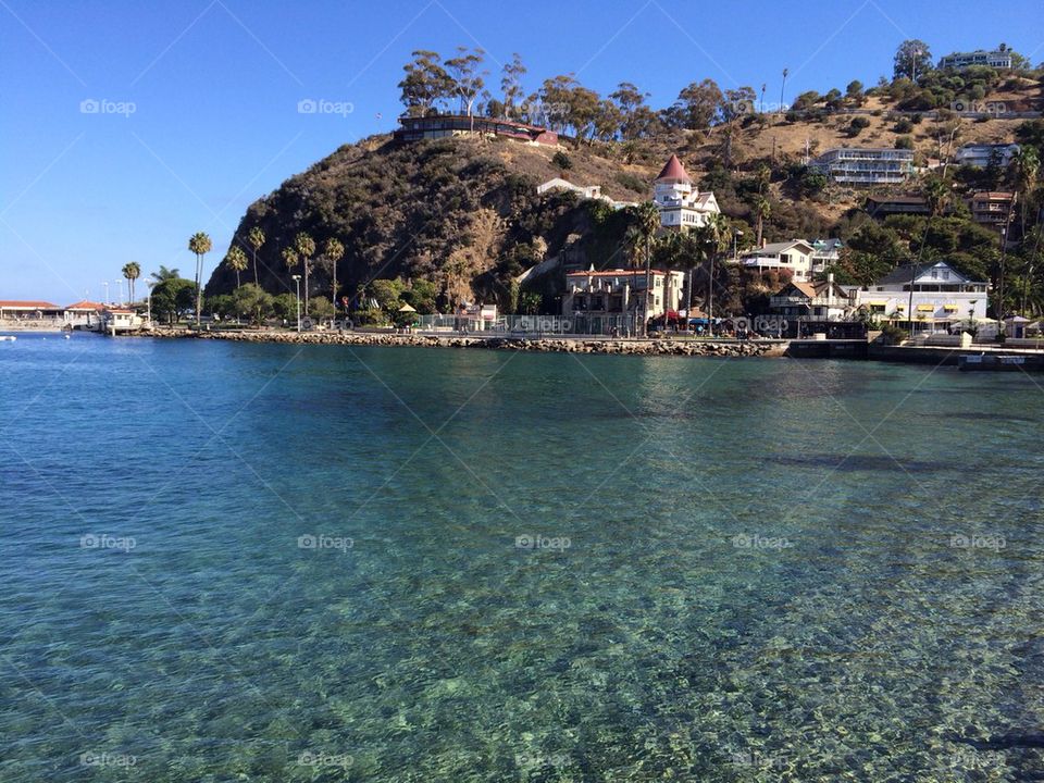 Catalina island 