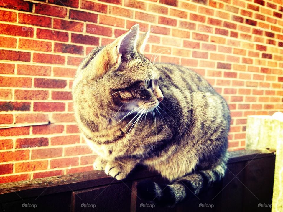 Over my shoulder, I sit and stare.