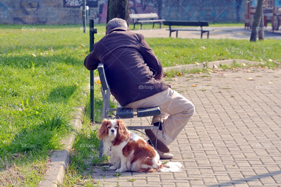 un anzieno con il suo cane