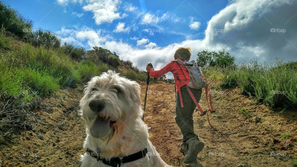 A boy and his dog