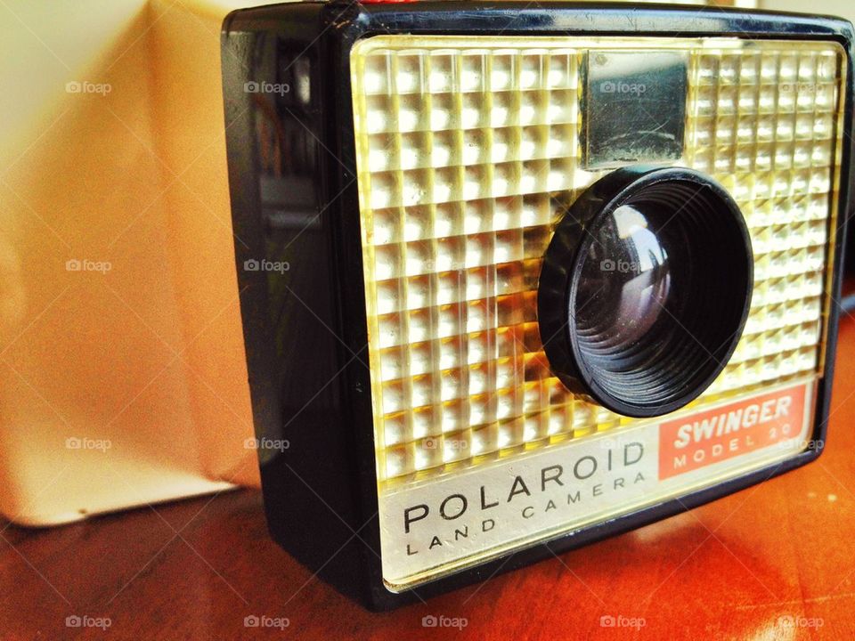 Polaroid Swinger