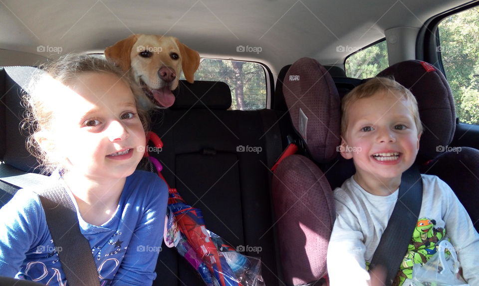 Siblings sitting in car with dog
