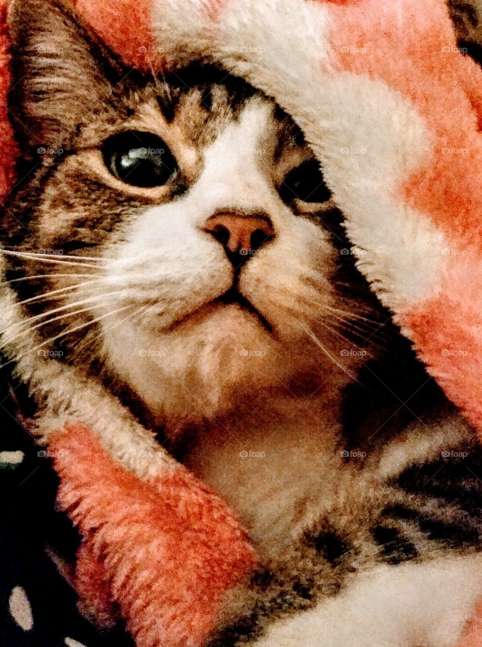 if so, I'll be doing the "h" word with the bears until spring!