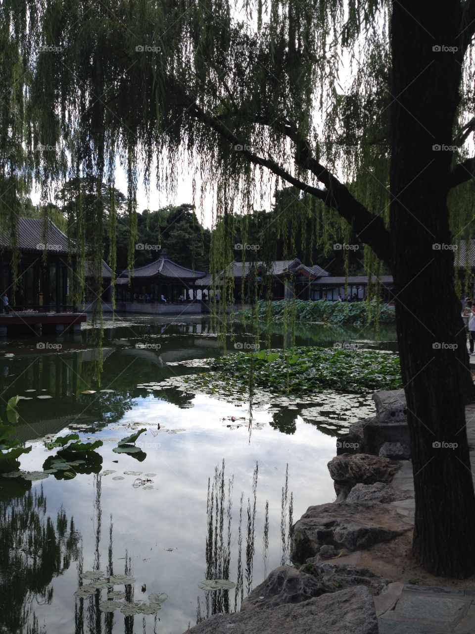 Garden of tranquility - China 