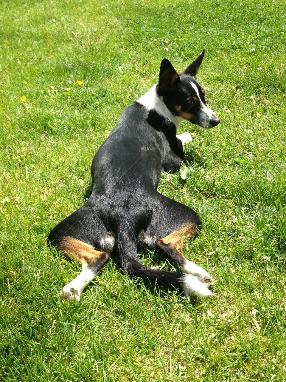 Relaxing in the sunshine 