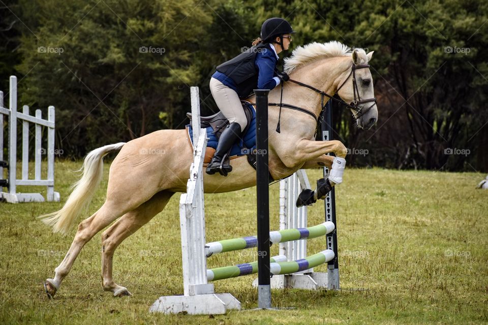Took photos at a show cross competition yesterday! I loved this pair