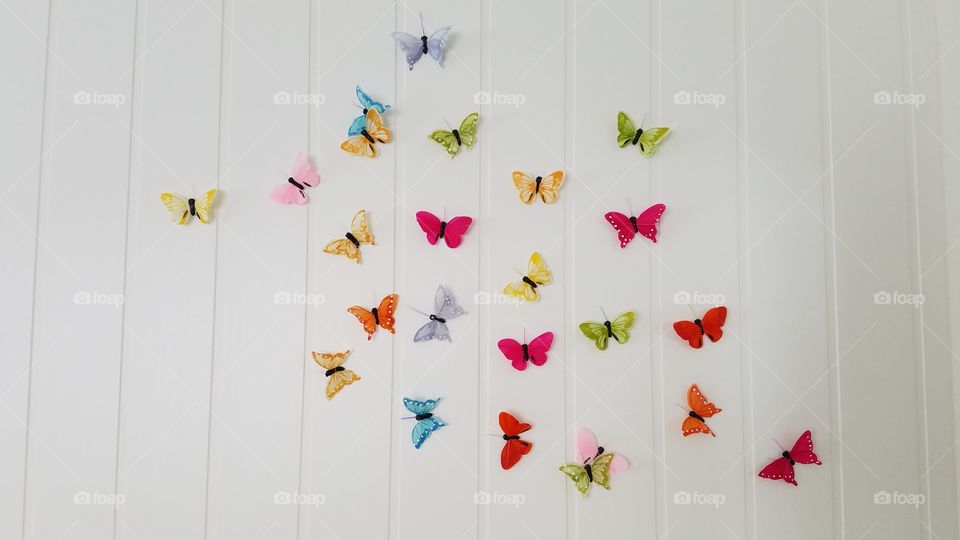 Butterflies decor