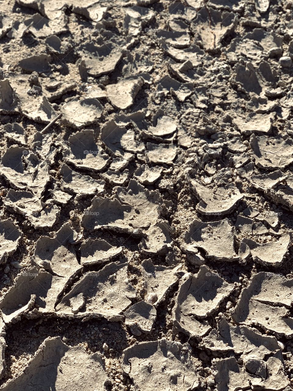 Dried mud near the river 