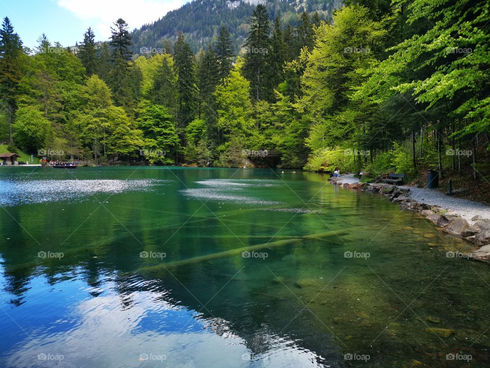 blausee