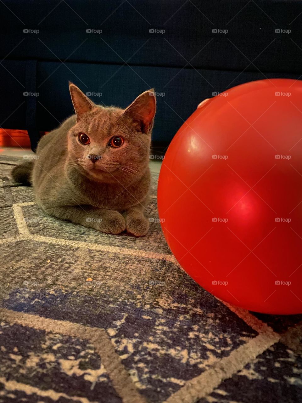 Kitt’s red ball