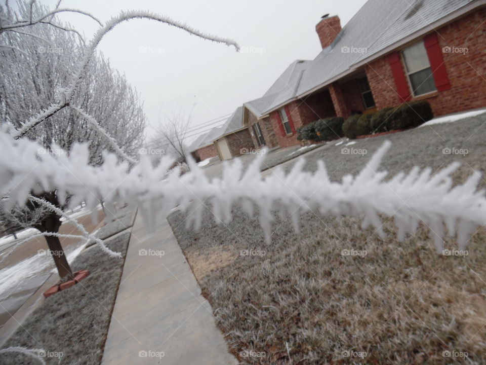 Jack frost nipping at the nose 👃 👅