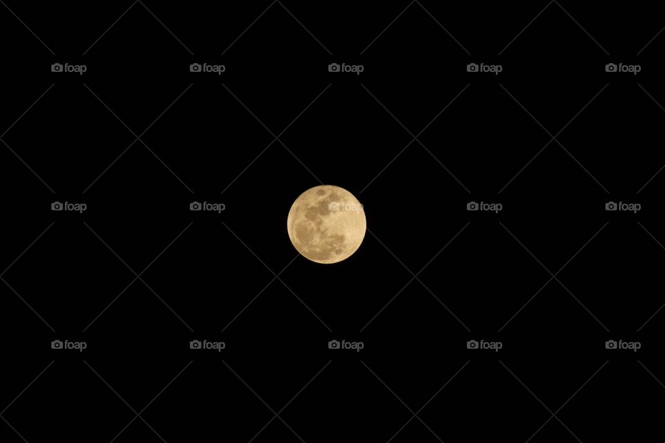 Golden Full moon