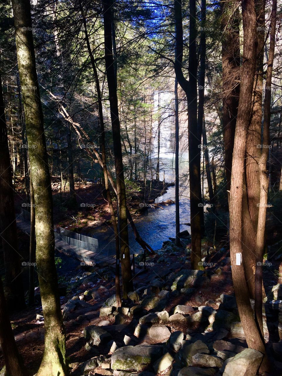 Hiking around Foster Falls in South Cumberland State  Park in Tennessee