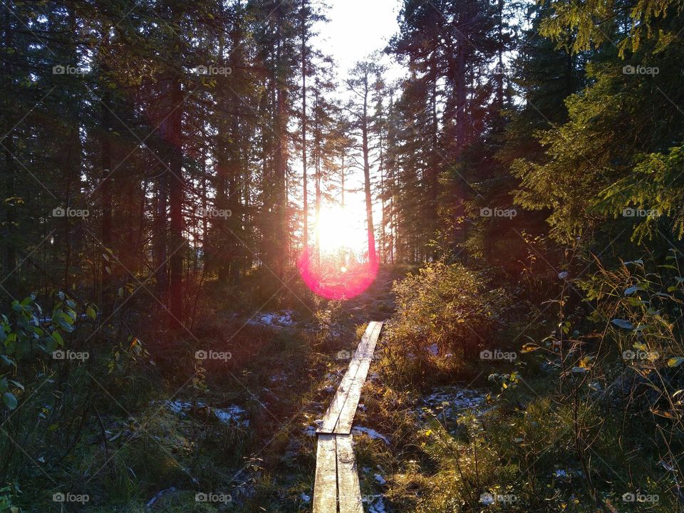 The way to the harmony