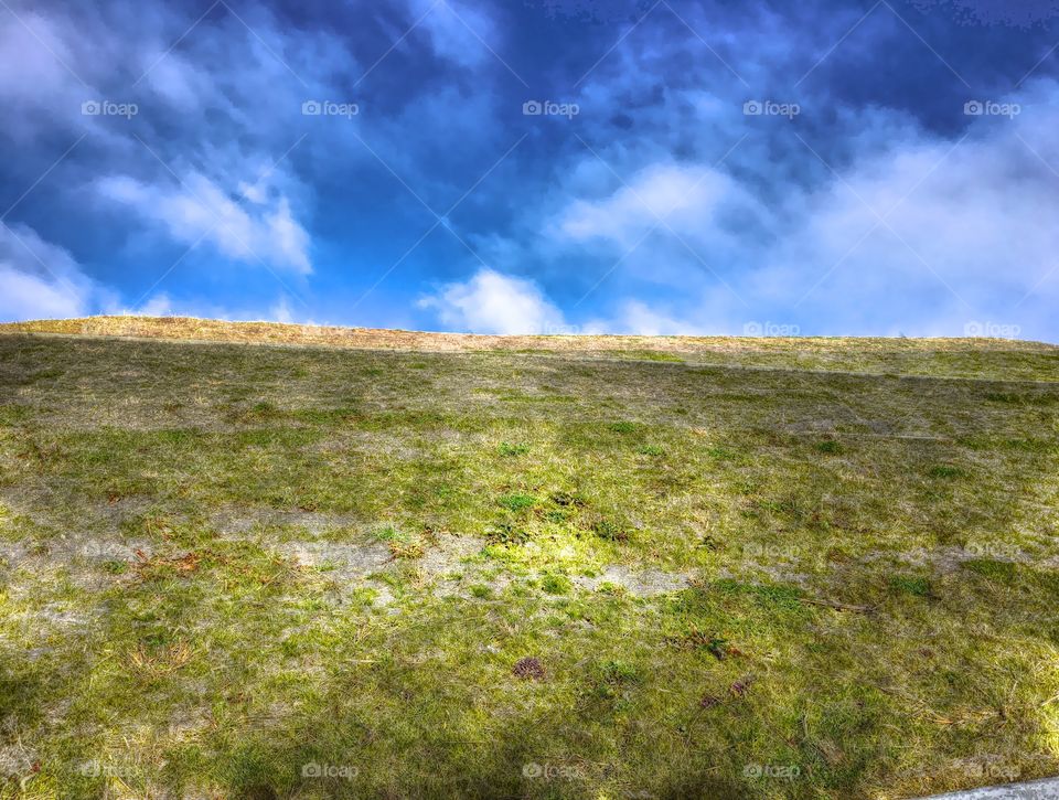 Up the sledding hill