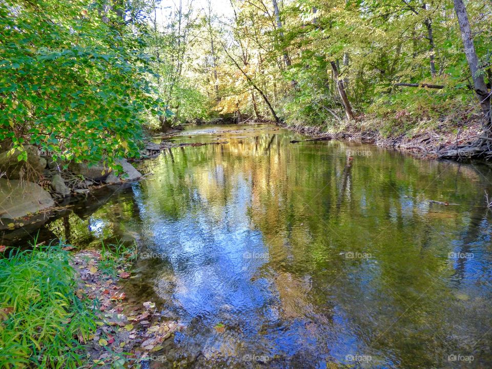 Beautiful falls park fall view