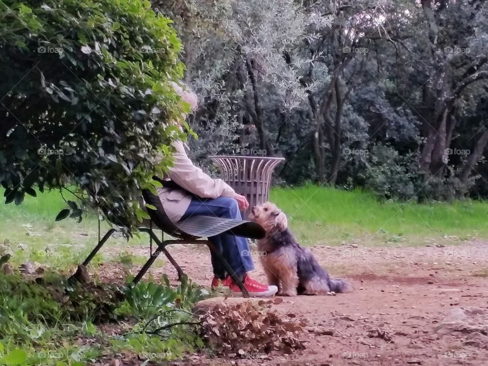 An old woman and her dog in a Park in Montpellier, France