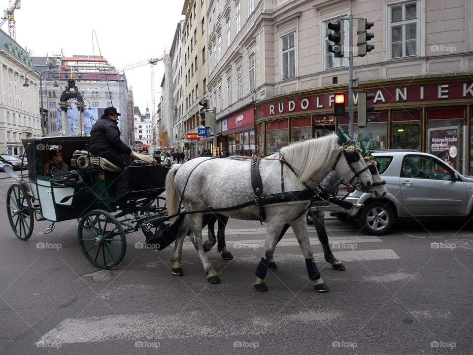 Vienna