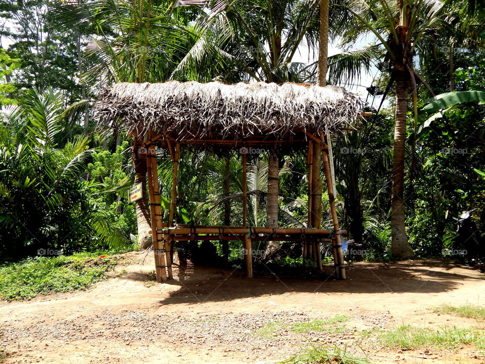 Hut in village
