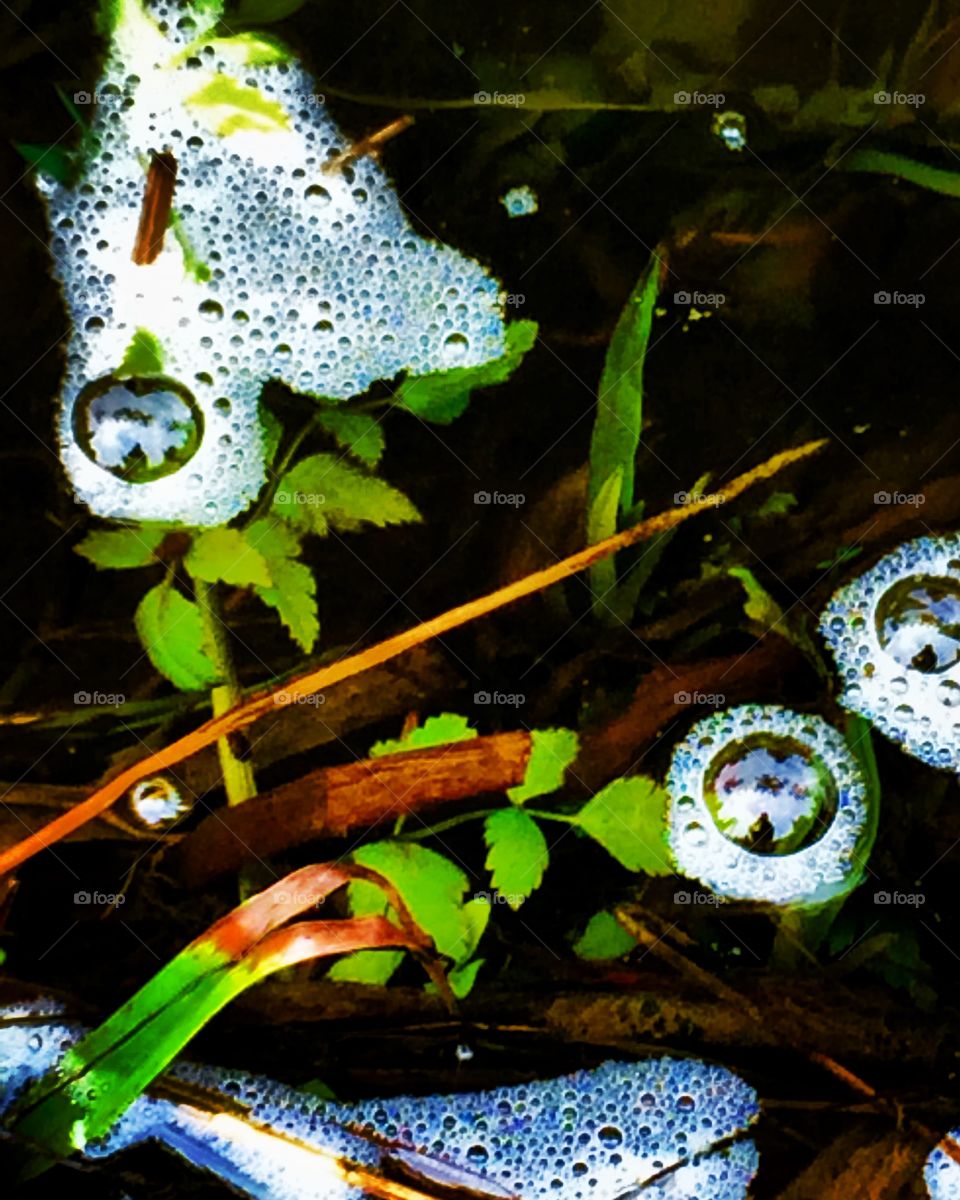 Foamy bubbles floating in the stream.